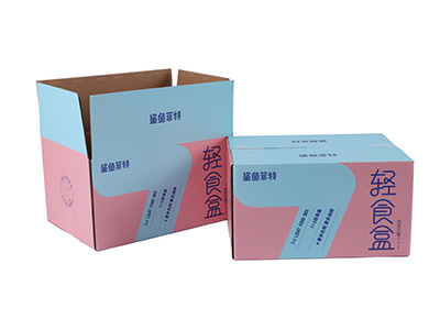 瓦楞紙食品彩箱定製 食（shí）品紙箱印刷包裝廠